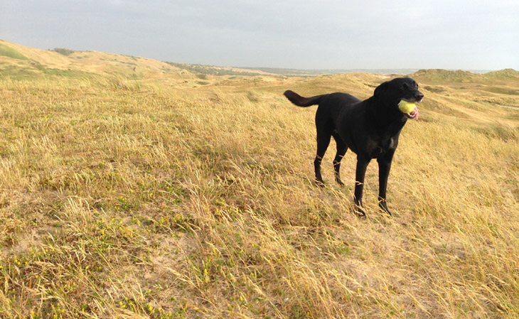 Les paysages du Cotentin