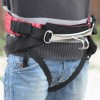 Peter Lynn BASE Harness