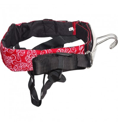 Peter Lynn BASE Harness