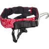 Peter Lynn BASE Harness