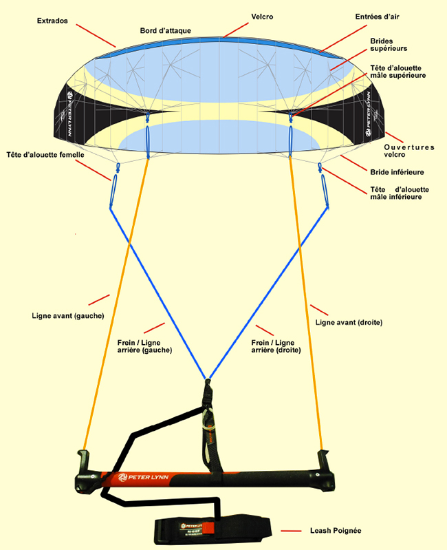 Voile de traction 4 lignes avec barre powerkite